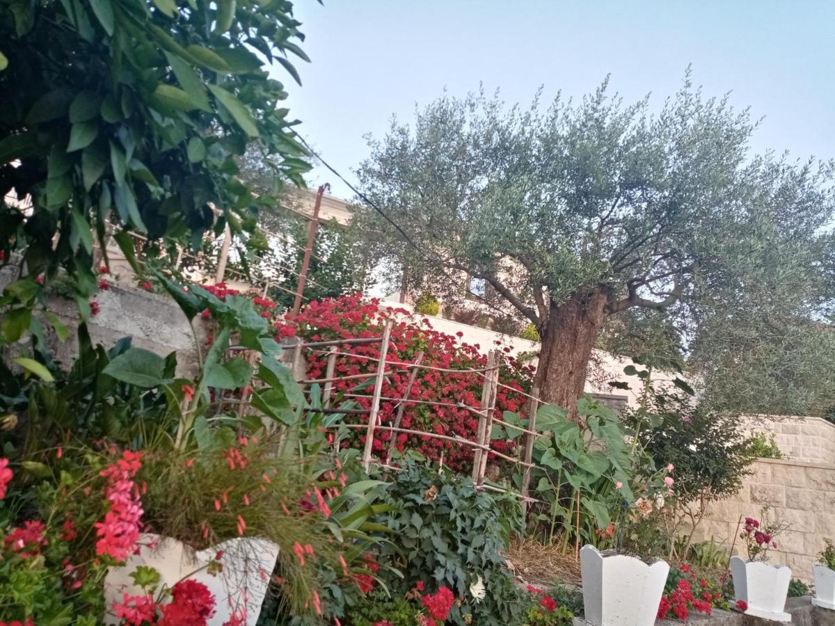 Apartmani Bosco Tivat Ngoại thất bức ảnh