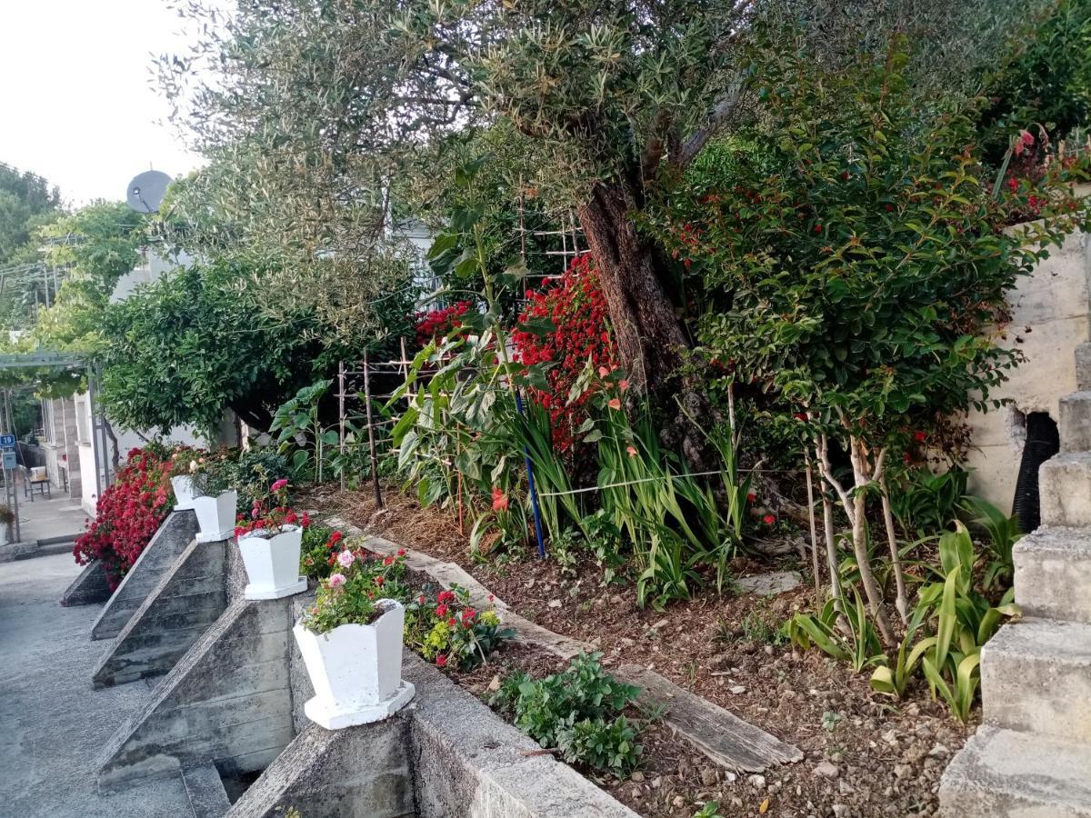 Apartmani Bosco Tivat Ngoại thất bức ảnh