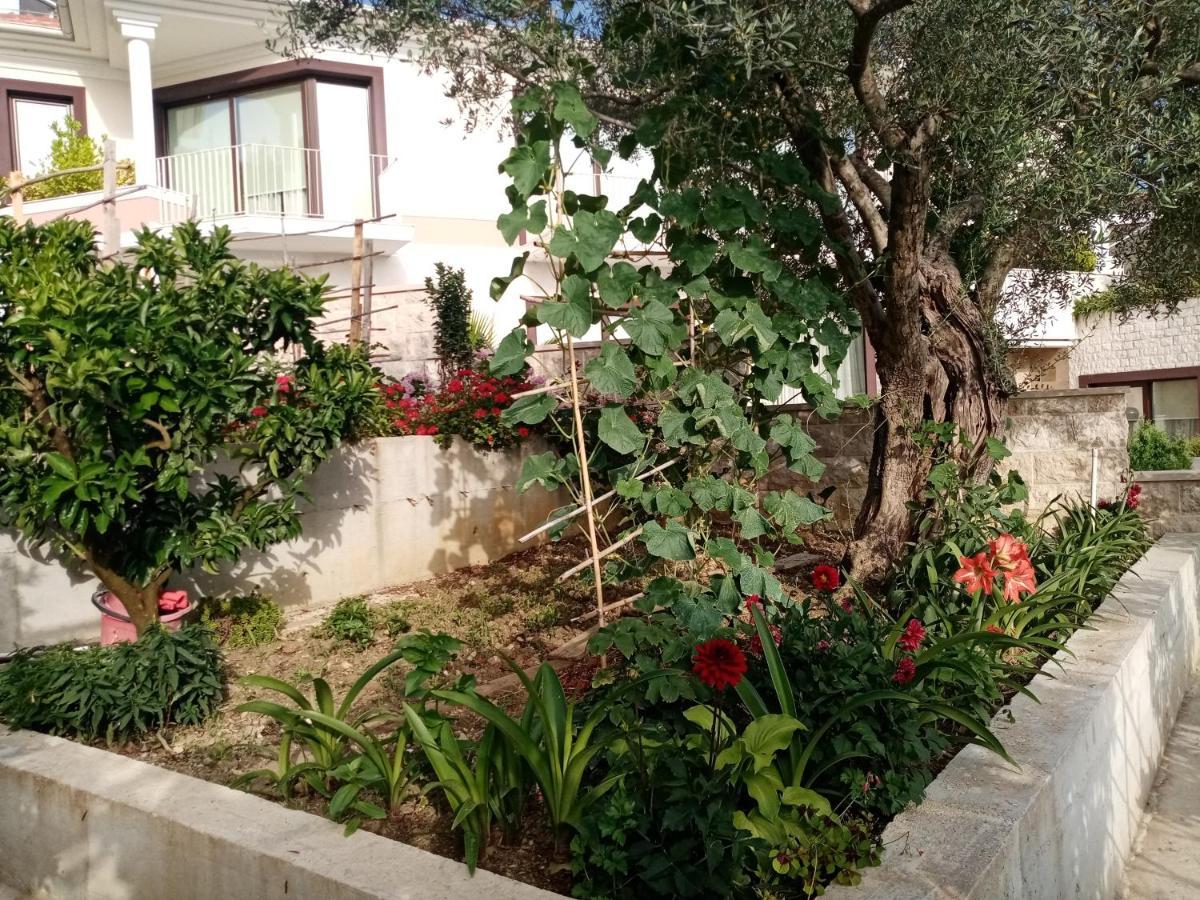 Apartmani Bosco Tivat Ngoại thất bức ảnh