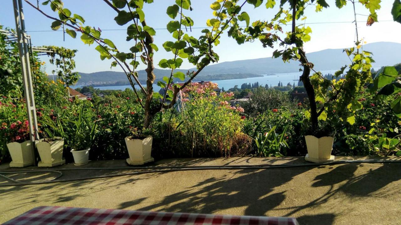 Apartmani Bosco Tivat Ngoại thất bức ảnh