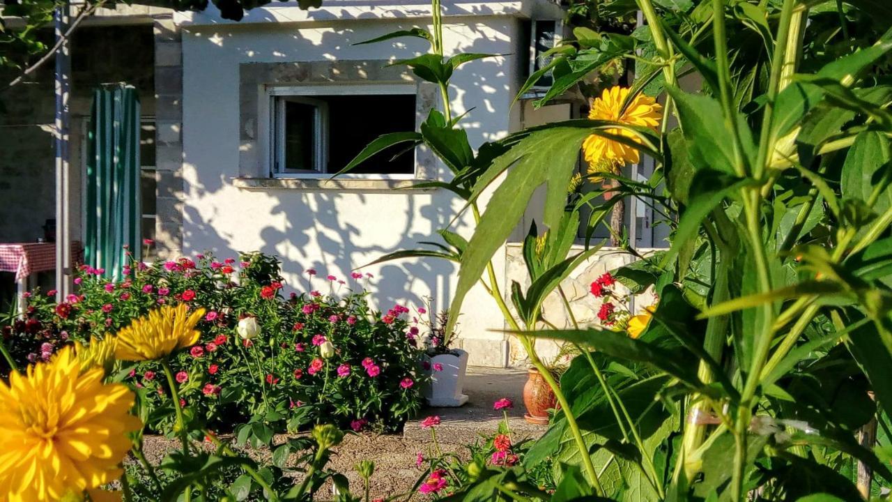 Apartmani Bosco Tivat Ngoại thất bức ảnh