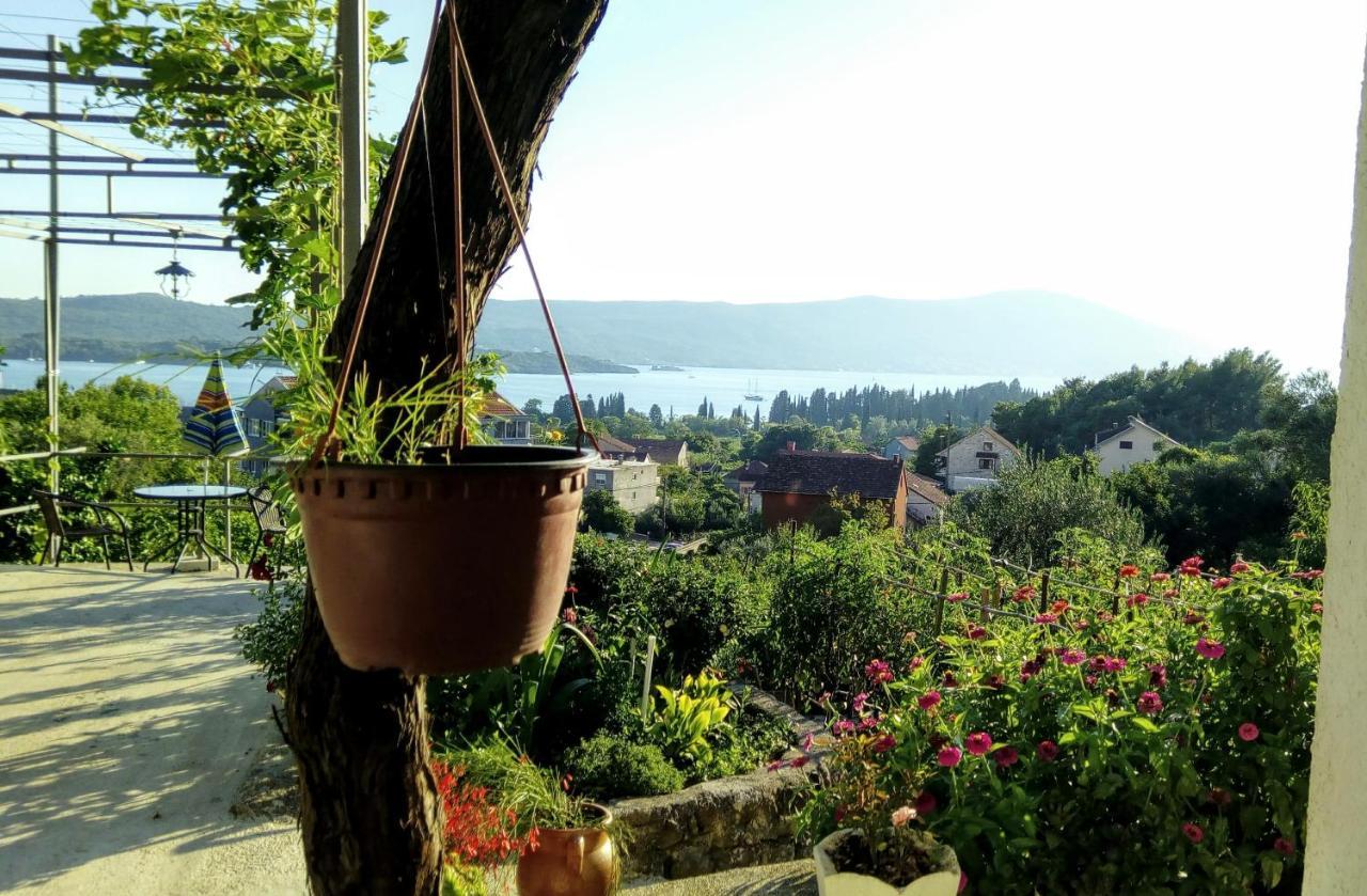 Apartmani Bosco Tivat Ngoại thất bức ảnh