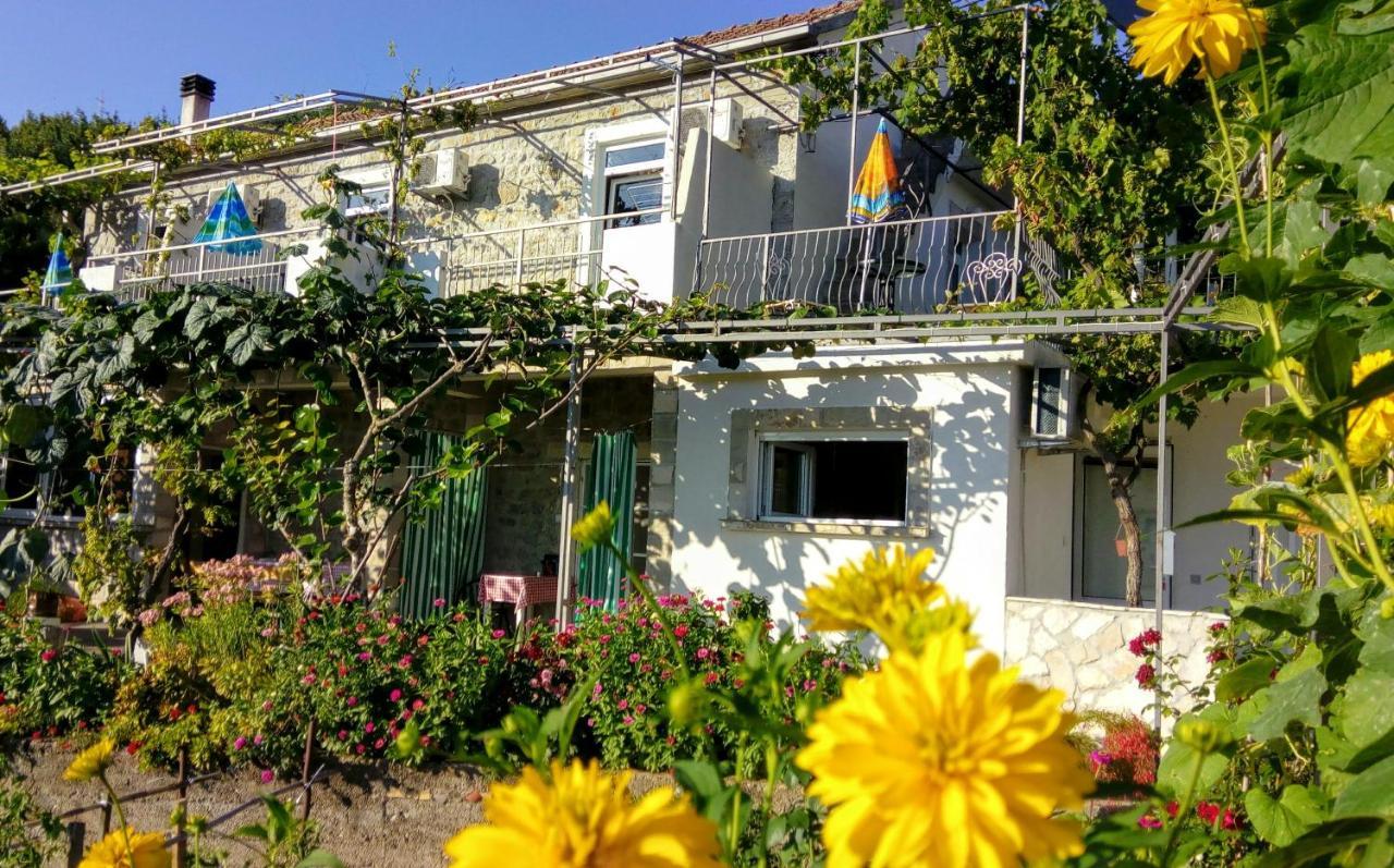 Apartmani Bosco Tivat Ngoại thất bức ảnh