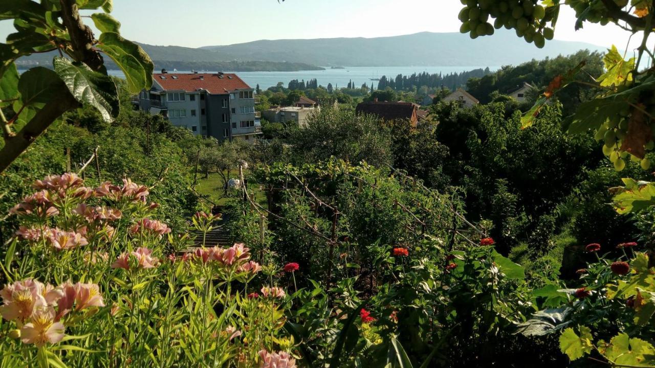 Apartmani Bosco Tivat Ngoại thất bức ảnh
