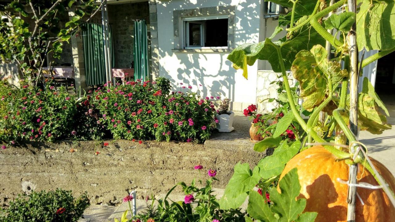 Apartmani Bosco Tivat Ngoại thất bức ảnh