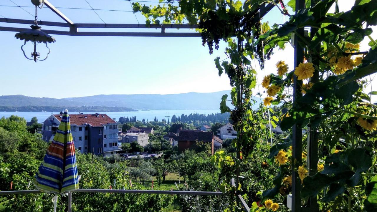 Apartmani Bosco Tivat Ngoại thất bức ảnh