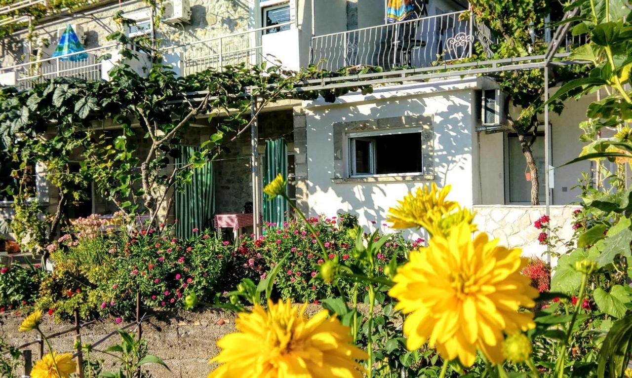 Apartmani Bosco Tivat Ngoại thất bức ảnh