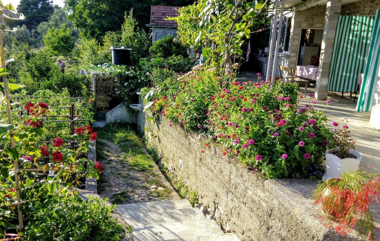 Apartmani Bosco Tivat Ngoại thất bức ảnh